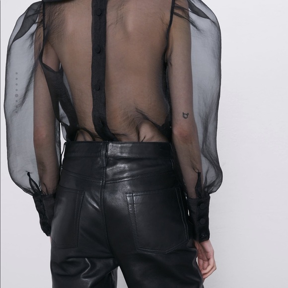 Zara organza blouse bloggers favorite - Picture 6 of 9